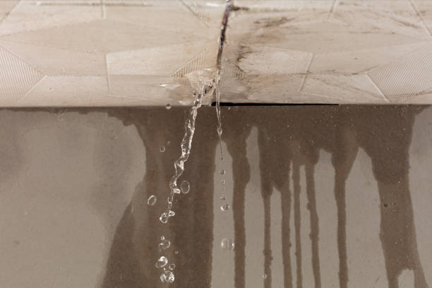 Professional Water Damage Repair technician working in Wallpack Center, NJ